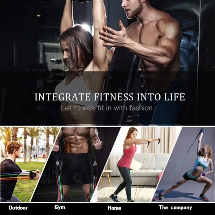 High Quality Portable Resistance Bands With Handles, Resistance Tubes & Workout Bands Exercise Band Elastic Pull Rope 11 Pcs Set - Image 3